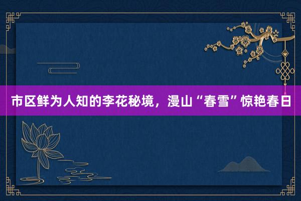 市区鲜为人知的李花秘境，漫山“春雪”惊艳春日