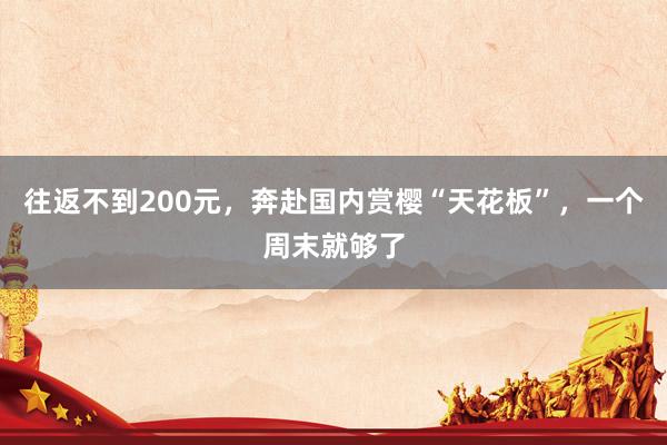 往返不到200元，奔赴国内赏樱“天花板”，一个周末就够了
