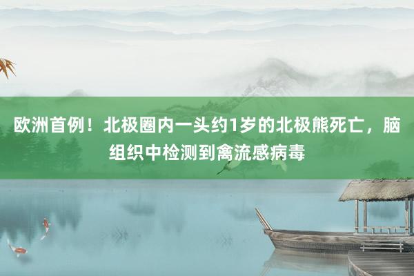 欧洲首例！北极圈内一头约1岁的北极熊死亡，脑组织中检测到禽流感病毒